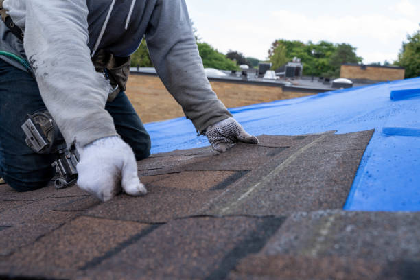 Best Commercial Roofing Services  in Bay Pines, FL