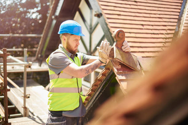 Professional Roofing Contractor in Bay Pines, FL