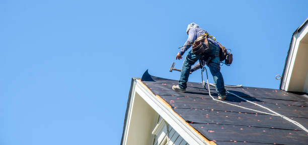 Best Roof Gutter Cleaning  in Bay Pines, FL